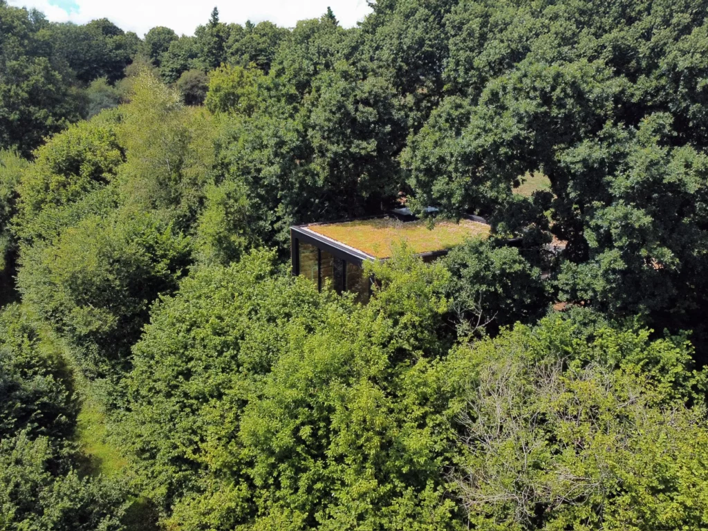 Roisechamp, des cabanes insolites éco-conscientes au cœur de l’Ardenne belge