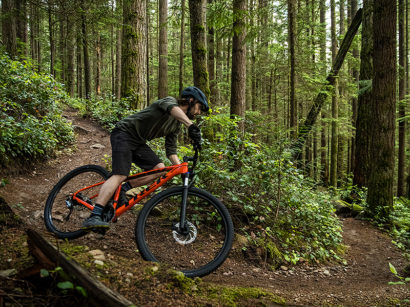image Balades à vélo & VTT dans la région