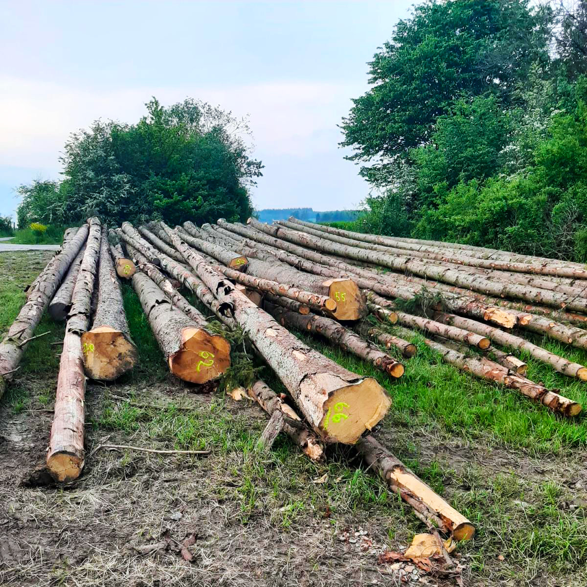 image transformation de notre bois pour construction cabanes