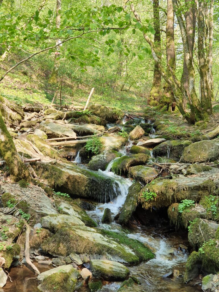 image Un drainage naturel parfait