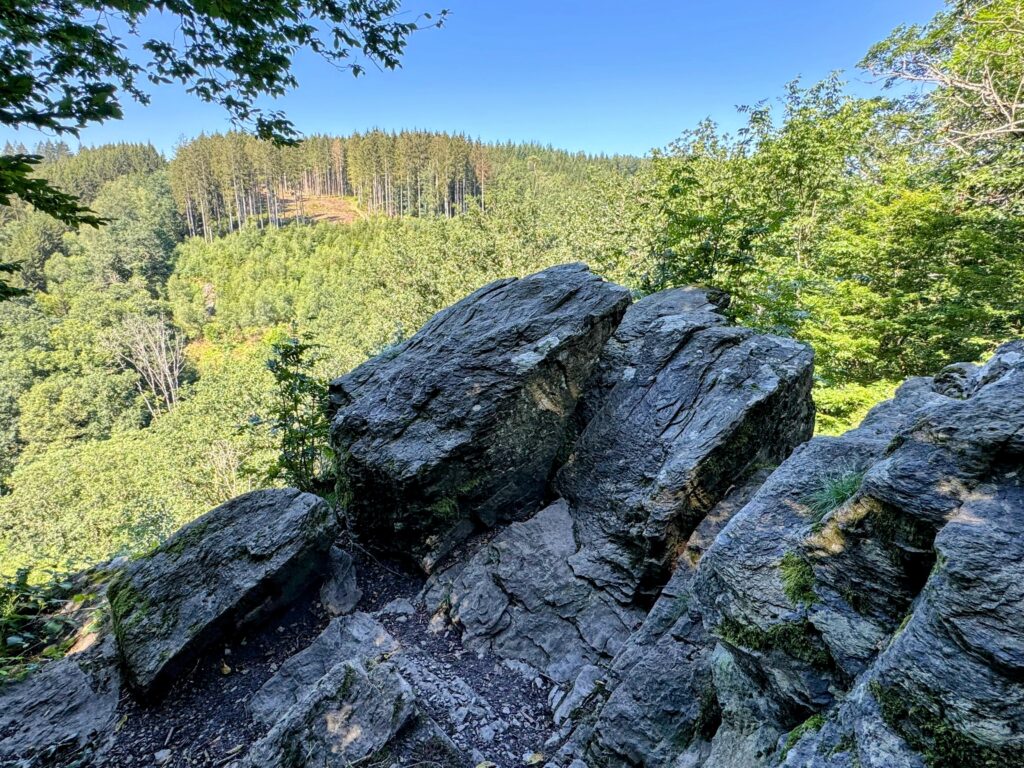 image Une origine ancienne